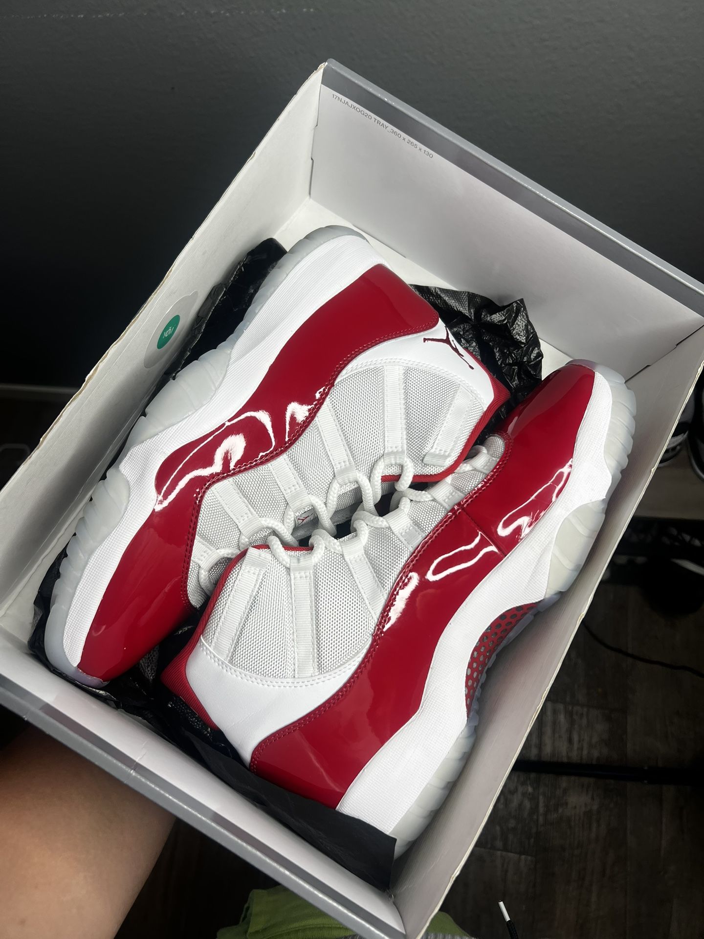 Jordan 11 Retro “Cherry”