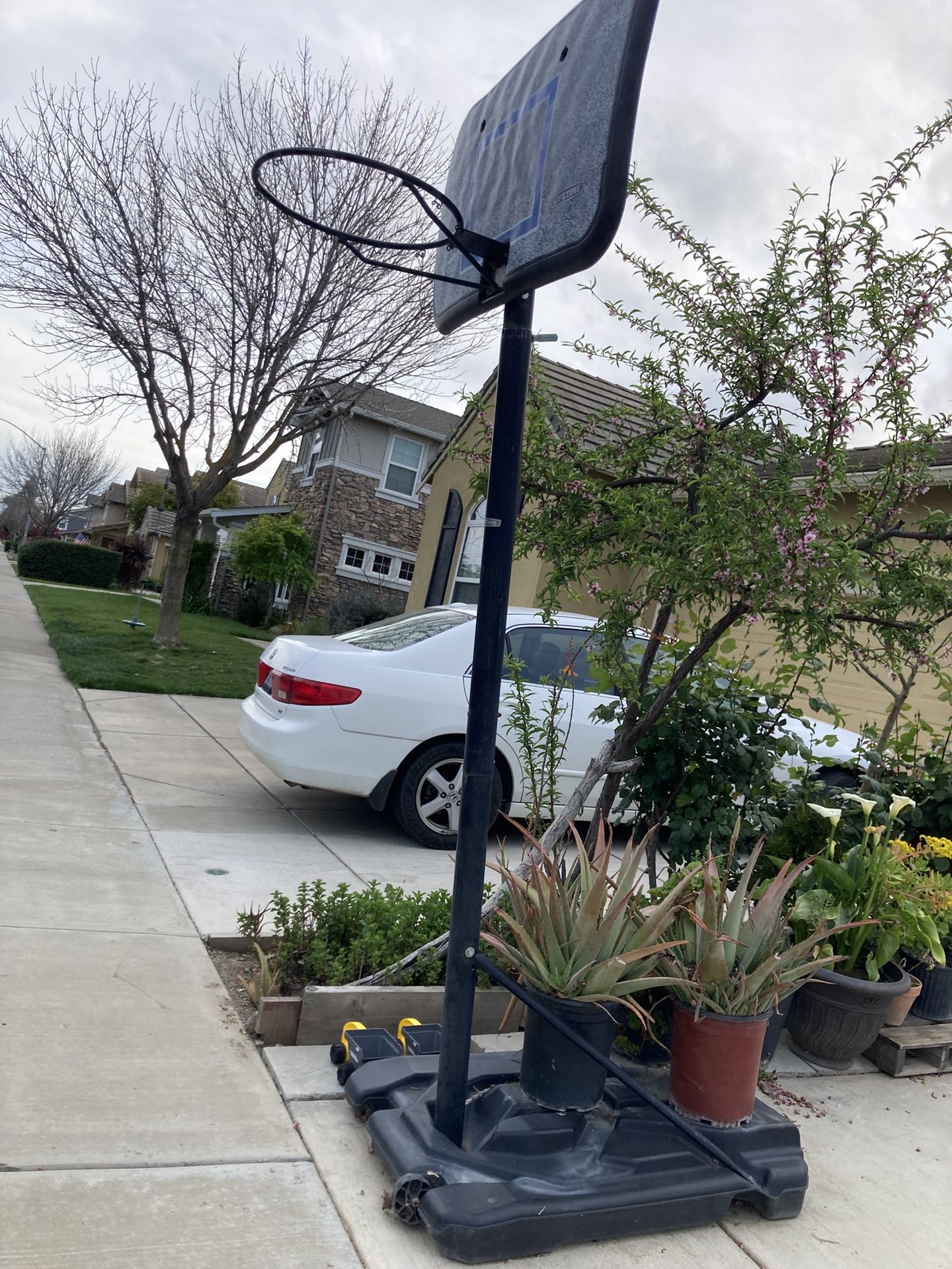 Basketball Hoop