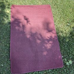 Outdoor / Indoor Rug 30” X 44”