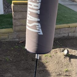 EVERLAST Punching Bag