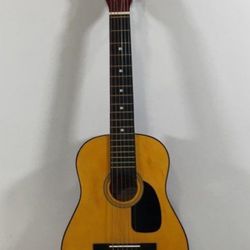 Acoustic Guitar 