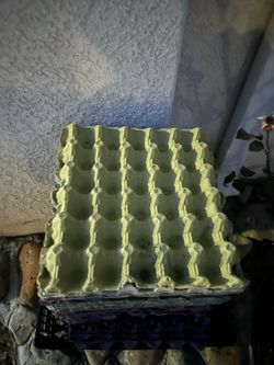 Egg cartons