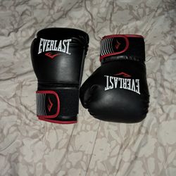 Everlast Boxing Gloves
