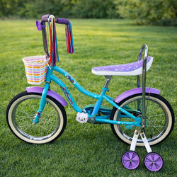 Girls schwinn bicycle