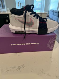 Mens size 11 LeBron Witness VIII