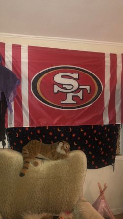 49ERS DECOR FLAG