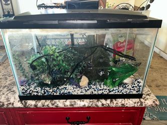 10 Gallon Fish Tank