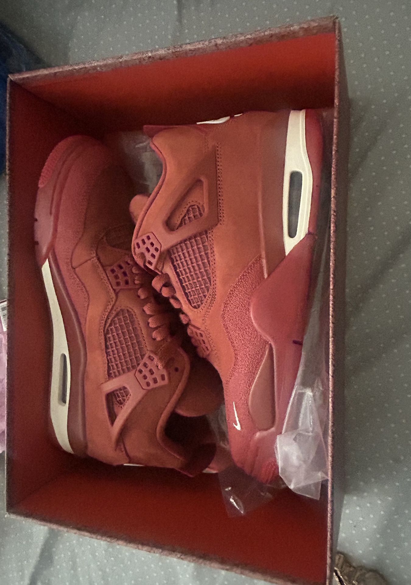 Air Jordan 4 Bike Air
