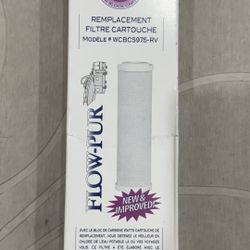 Watts WCBCS975-RV Gac Replacement Cartridge 