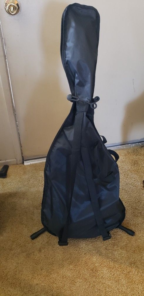 Electric Guitar With Wammy Bar