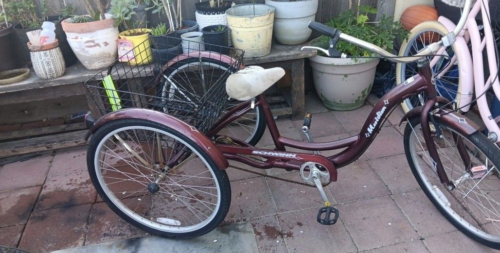 Schwinn Tricycle 