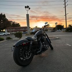 2022 Harley davidson Iron xl883n