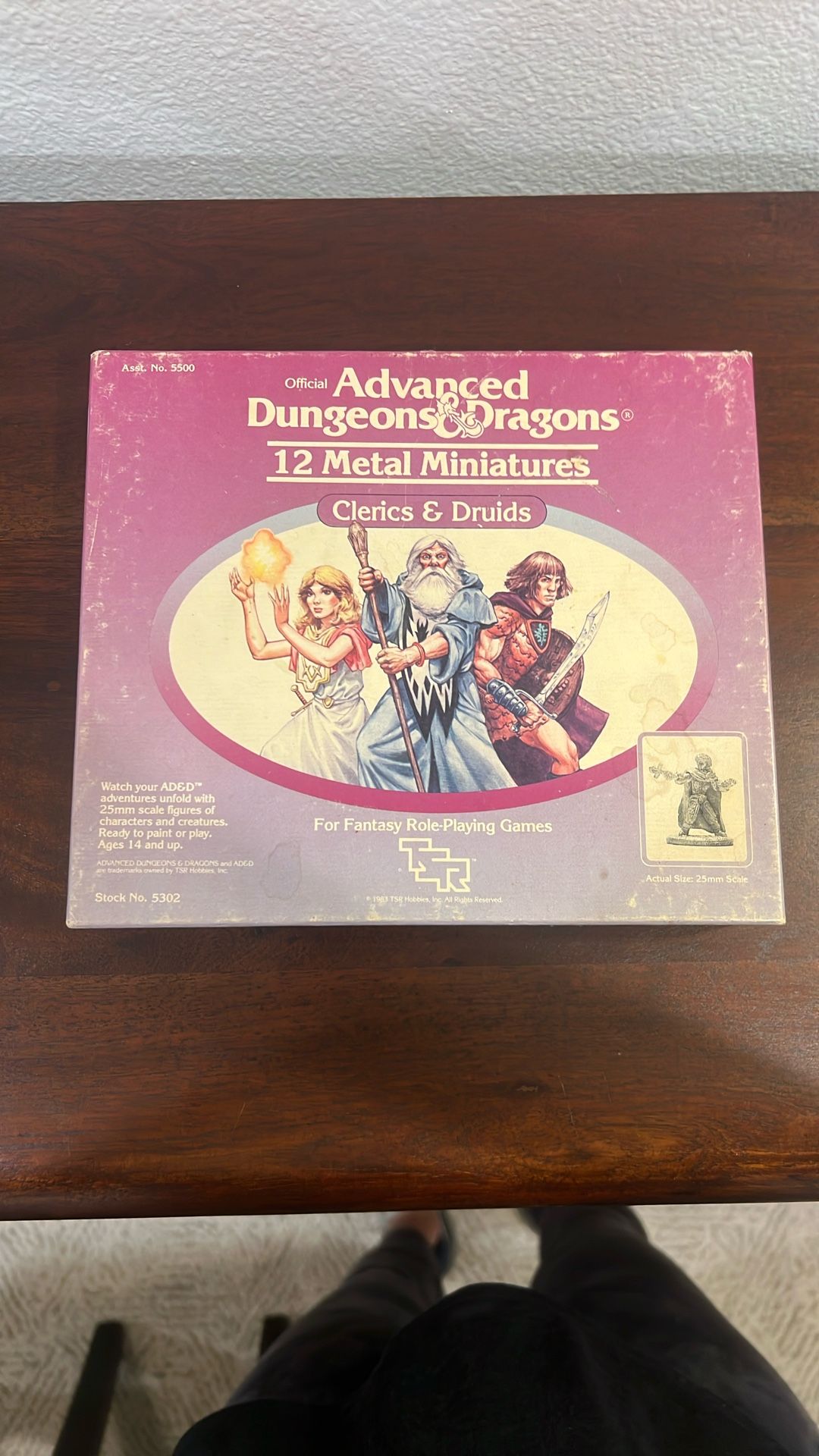 Dungeons & Dragons Clerics and Druids