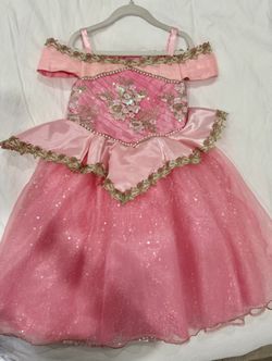 Disney Princess Aurora Deluxe Package Dress