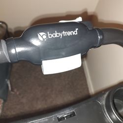 Baby Trends Expedition Plus Jogging Stroller 