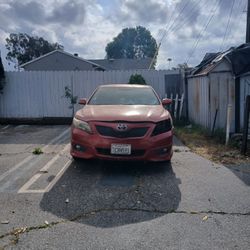 2010 Camry