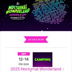 Nocturnal wonderland 2025 Car Camp