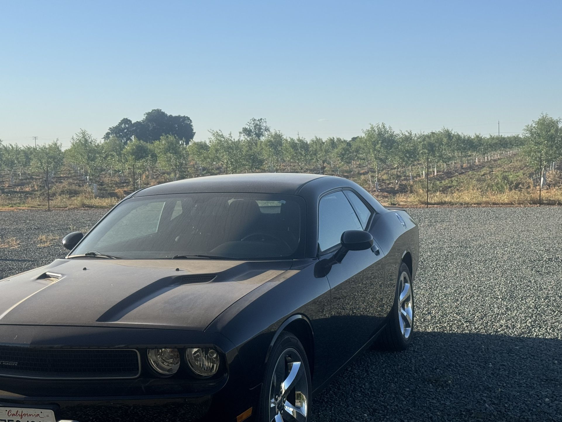 2013 Dodge Challenger