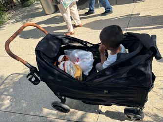 Stroller Wagon