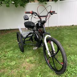 Customized 3 Wheel Trike Bike