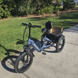 Mokwheel Trike