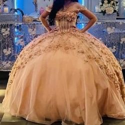 Quinceanera Dress 