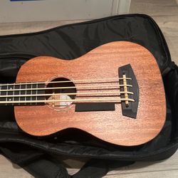 Acoustic Ukulele   Bass (Donner) 