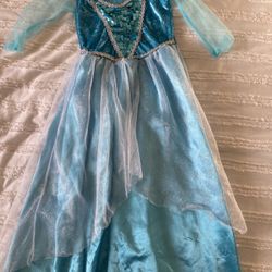 Frozen Costume