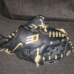 Left Hand 12.0 Nike Diamond Elite Glove 