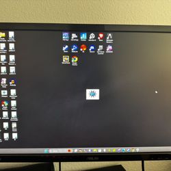 Gaming Monitor V248H-P 
