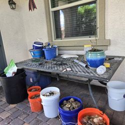 Free Table 