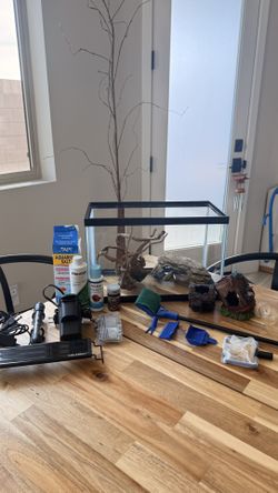 Full Betta Fish Setup (5 gallon tank)