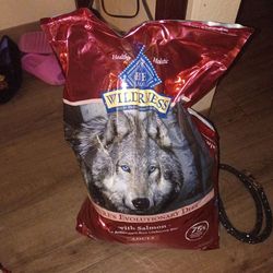 Blue buffalo Dog food