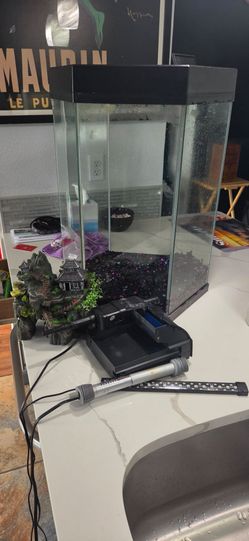 Hexagon 20 gallon fish tank