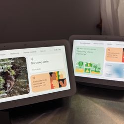 2 Google Home Nests (Gen 2)