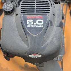 Yard King Professional Mower 