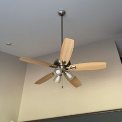 Light With Fan