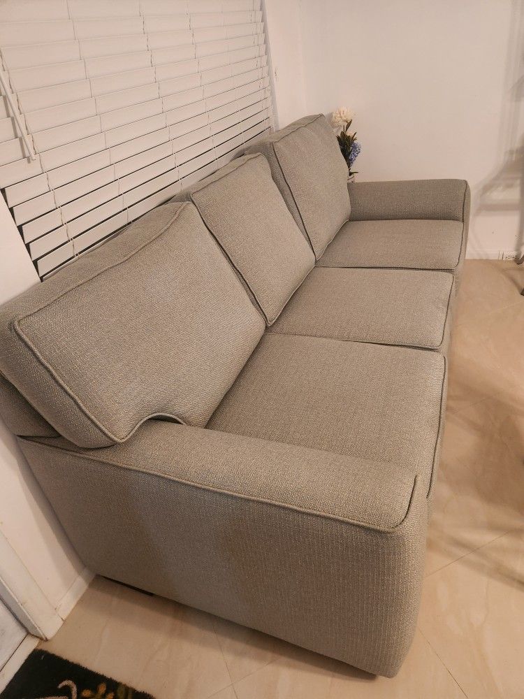 Sofa Bed/Pull Out Couch