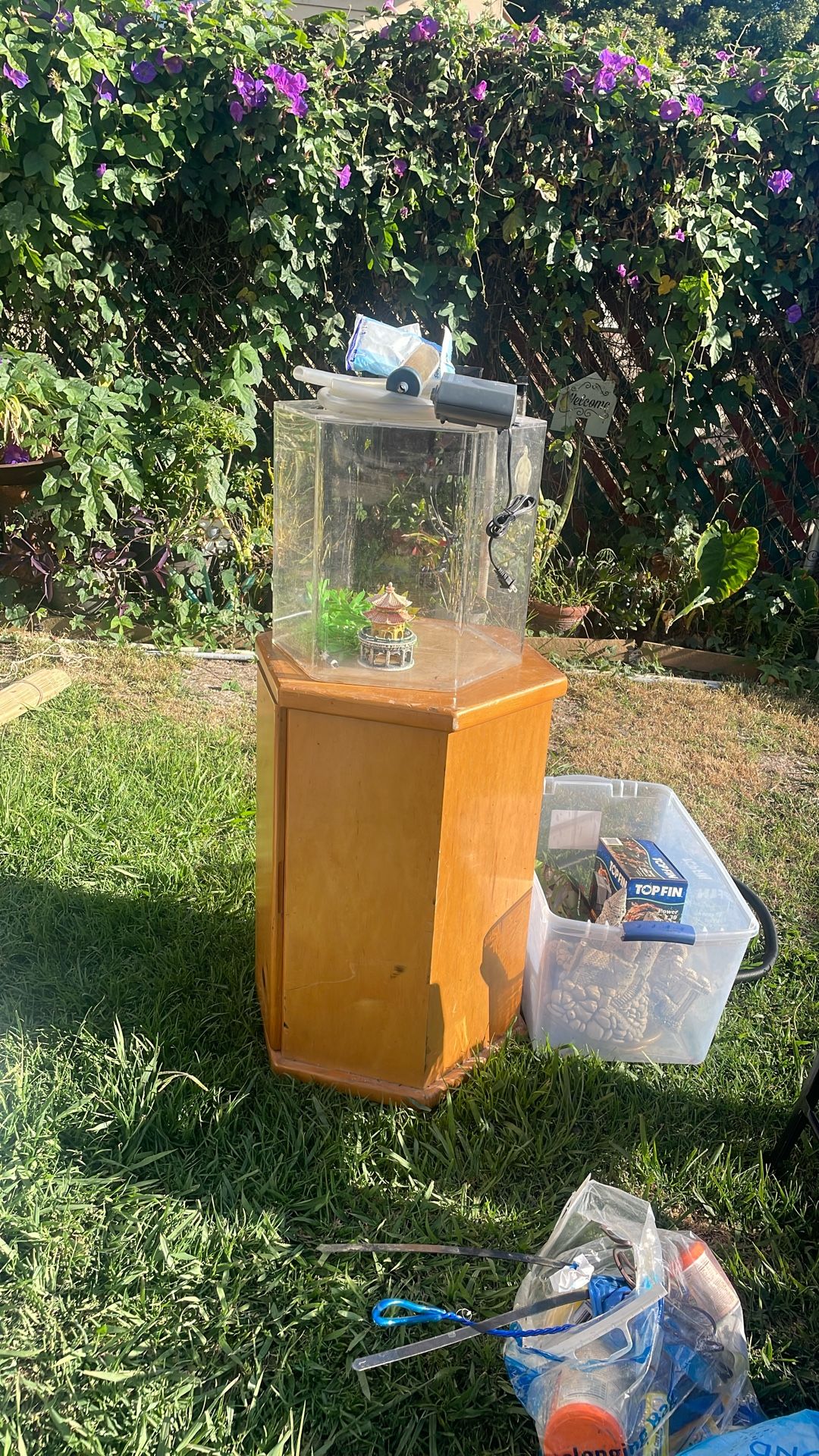 Fish Tank Terrarium And Wooden Stand