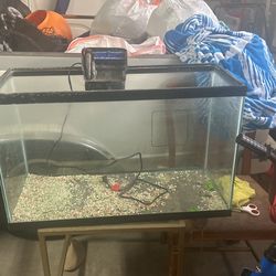 30gal Fish Tank Wit Filter 