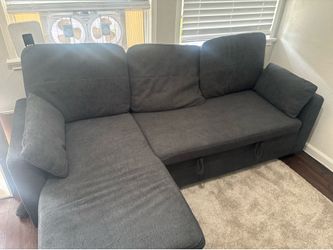 Couch with pull out bed