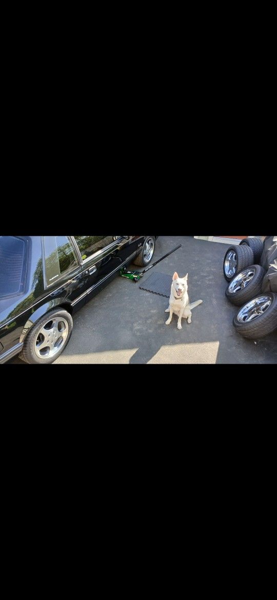 94 -98 Factory Cobras Rims And Brand New Tires