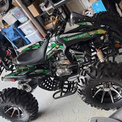 Siberian Beast For Sale !!!