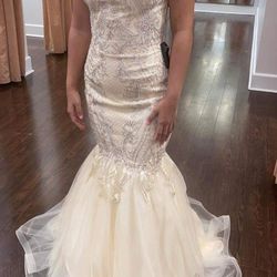 Gorgeous Gown Size 3/5 Small