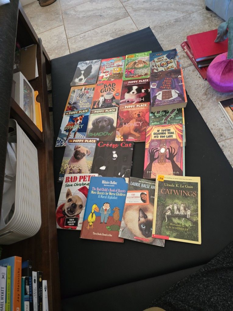 19 Piece YA Book Lot