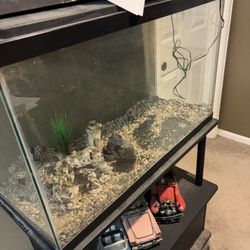 Fish Tank