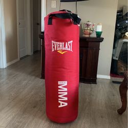 Punching Bag