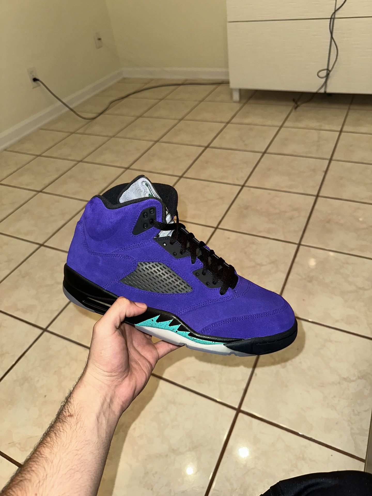 Jordan 5 Grape Size 11