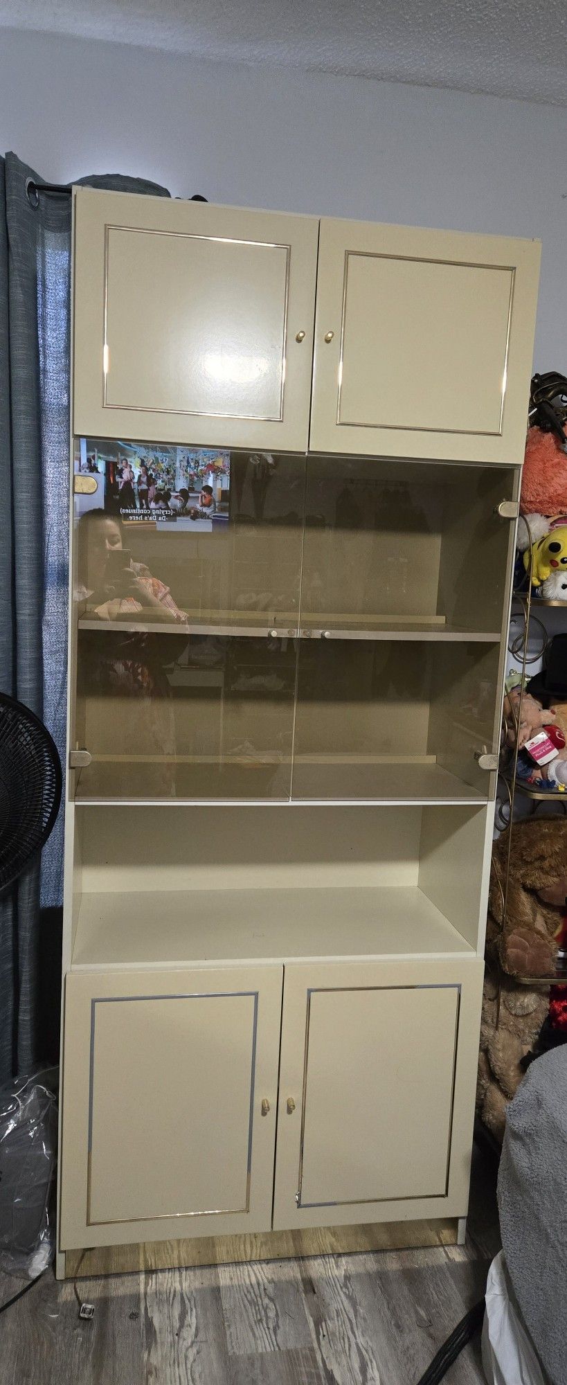 Display Case/ Bookshelf