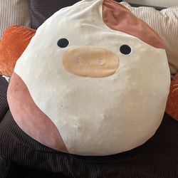 Squishmallows 